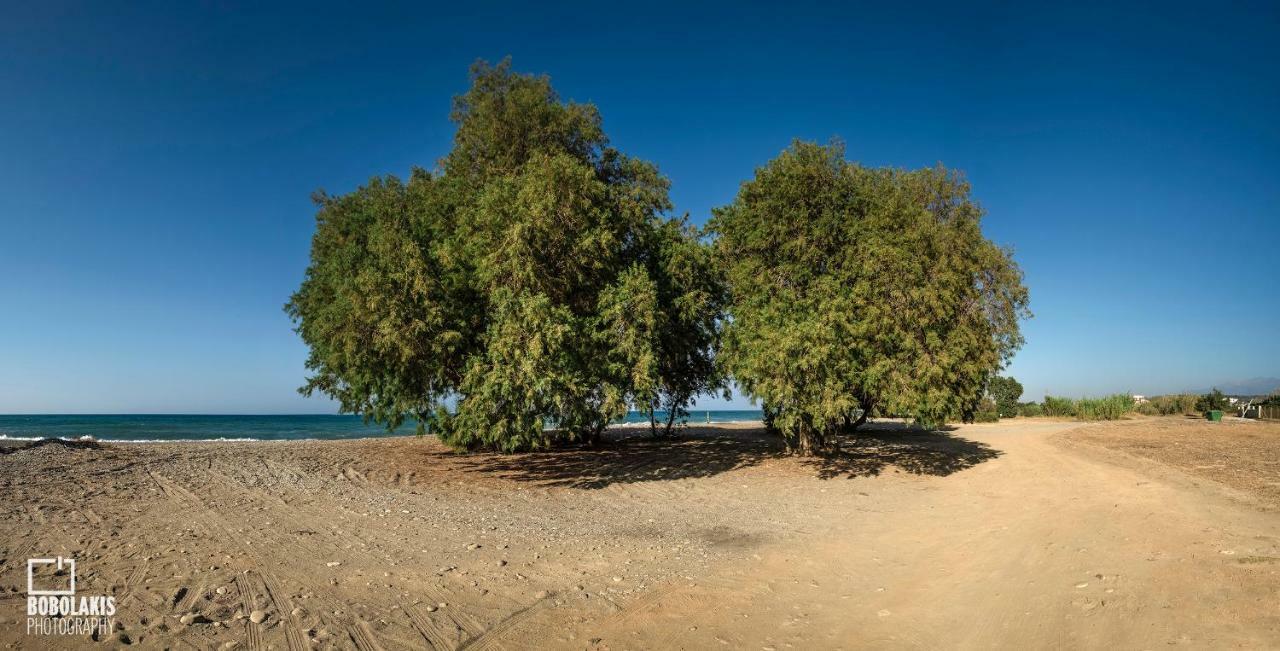 Sirens House בית נופש Tavronitis